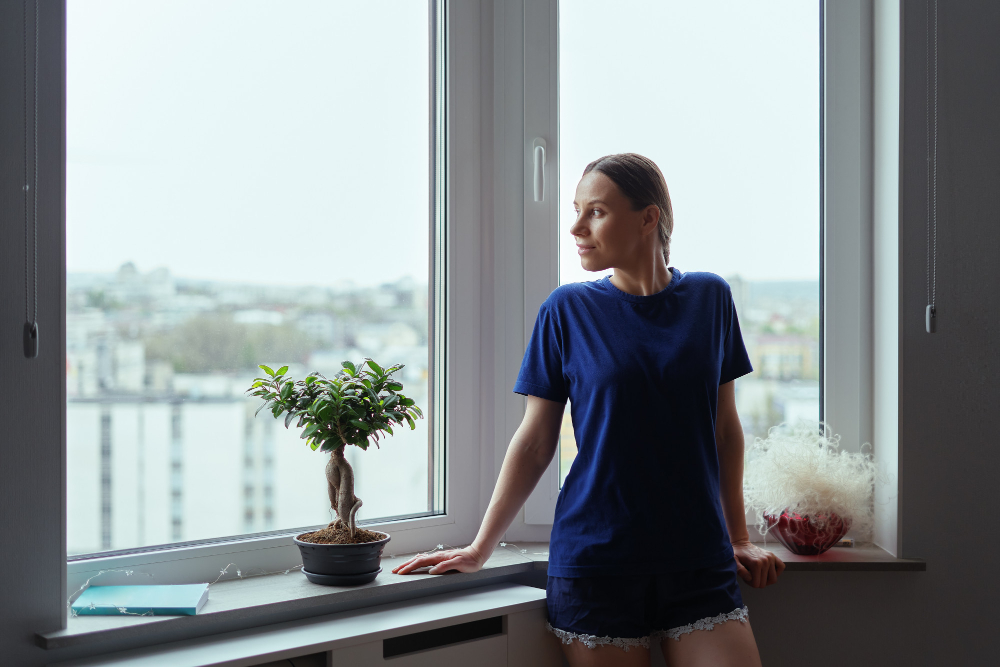 Dubuque Bay & Bow Windows